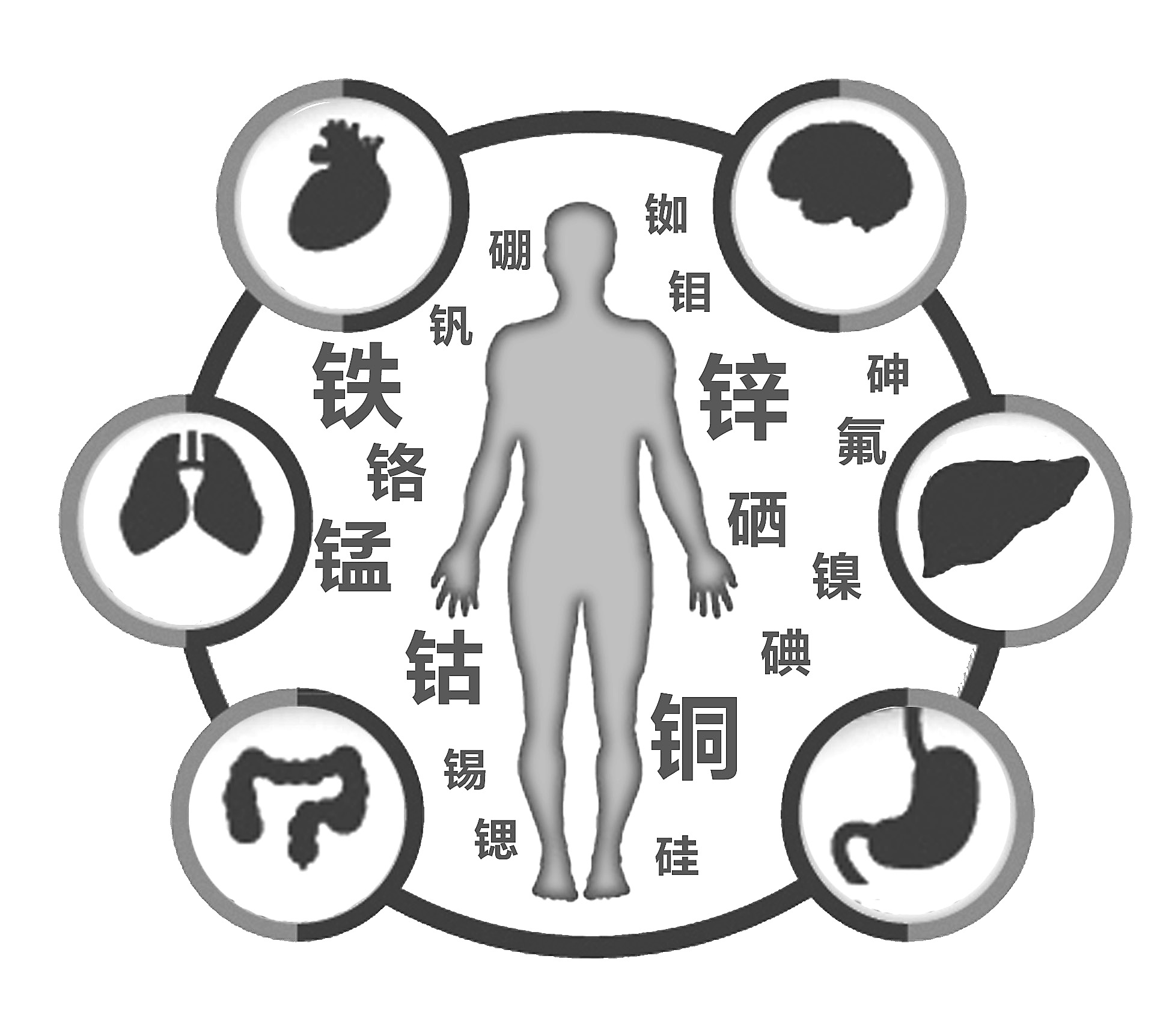 小黄鸭视频app下载检查有必要吗 小黄鸭视频app下载检查有必要吗