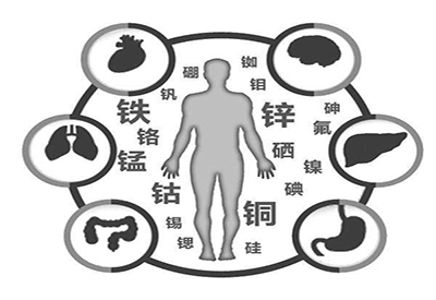 全自动小黄鸭视频下载污厂家微量元素在人体中起到哪些作用 全自动小黄鸭视频下载污厂家微量元素在人体中起到哪些作用