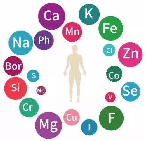 人体小黄鸭视频下载污资讯-为什么要检查微量元素?微量元素的检测原理是什么?